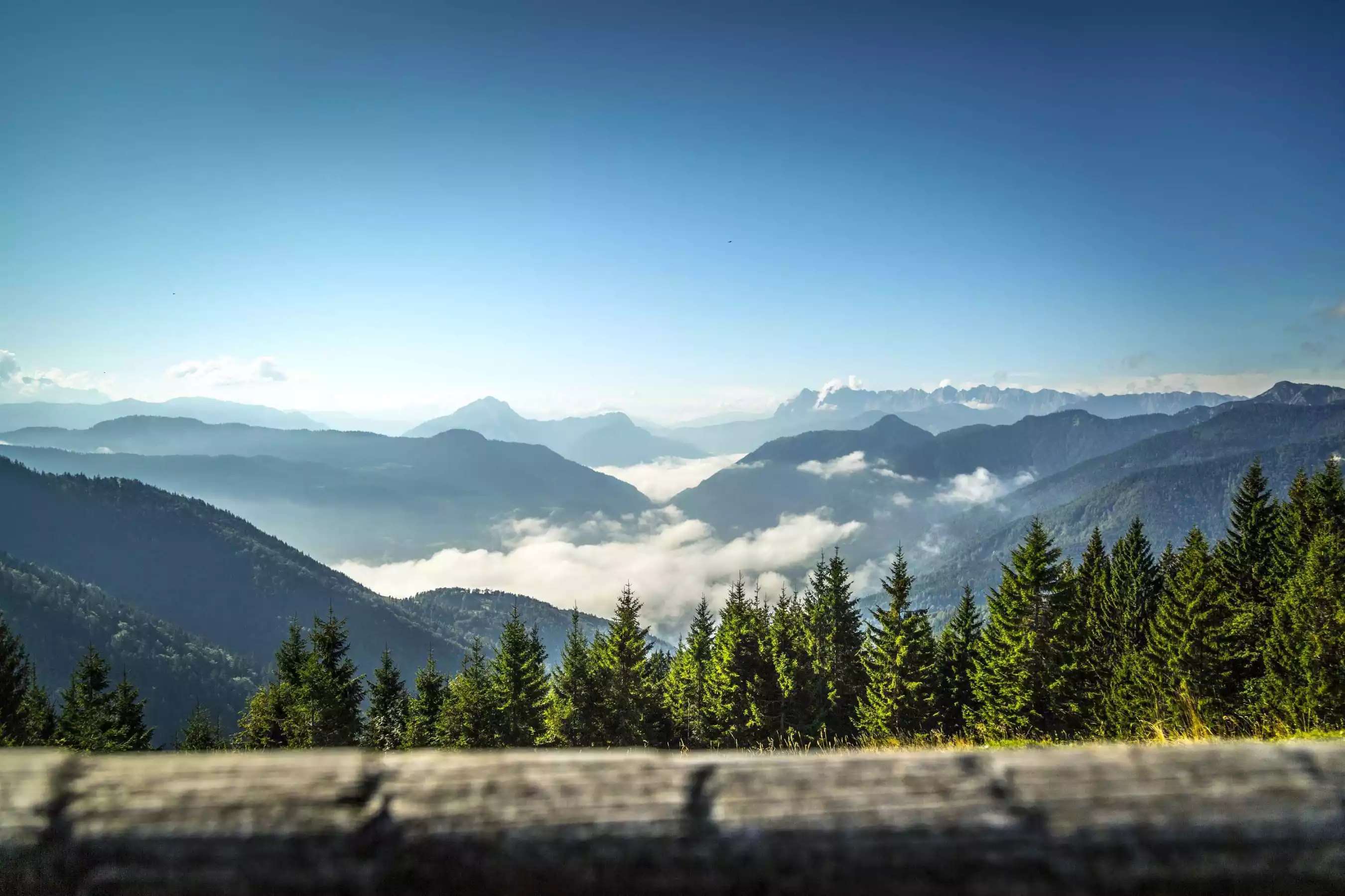 Traumjob in den Bergen Hochalm Bayern