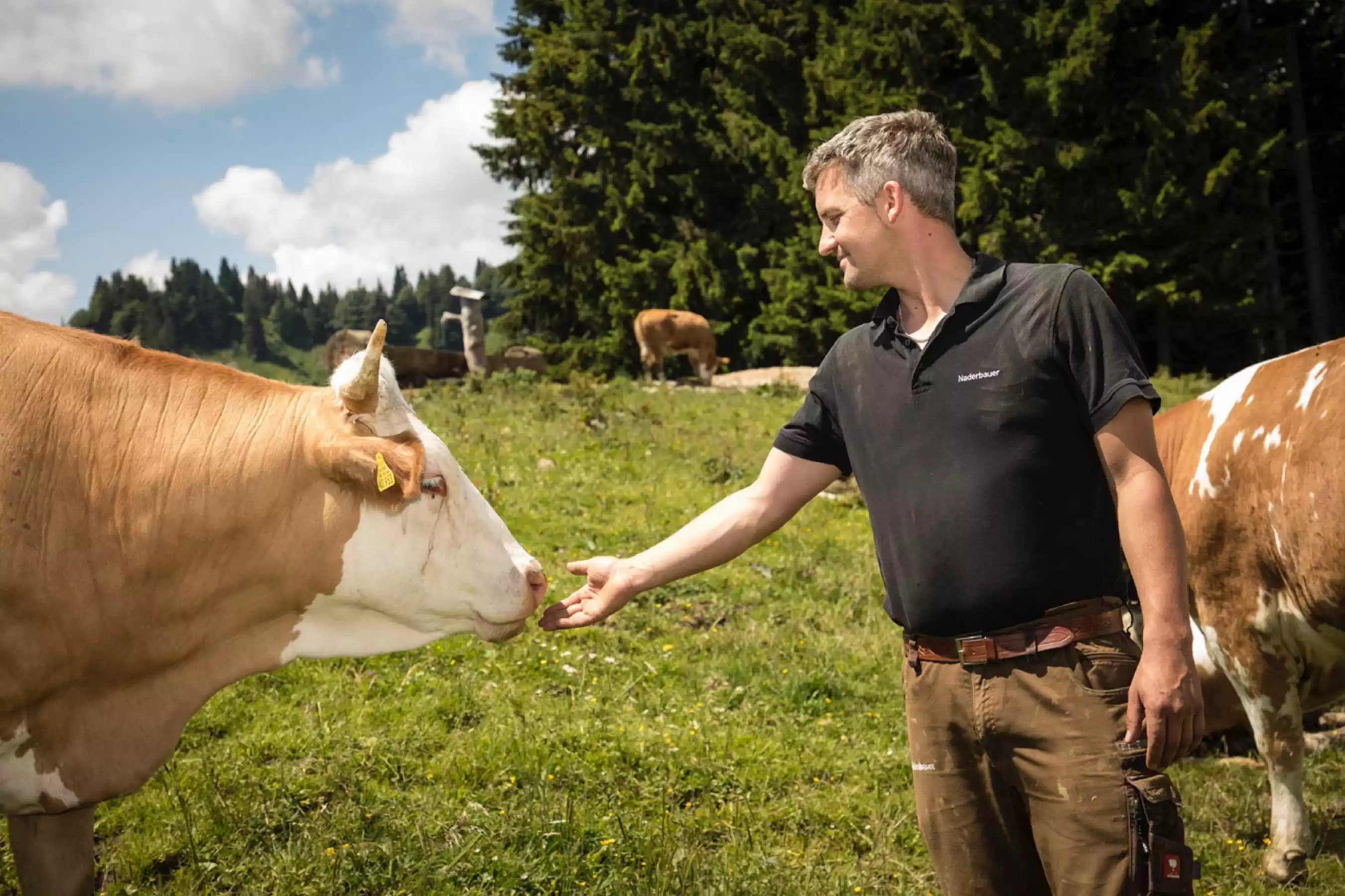 Almrindfleisch Direktvermarktung Almbrotzeit Piesenhausener Hochalm