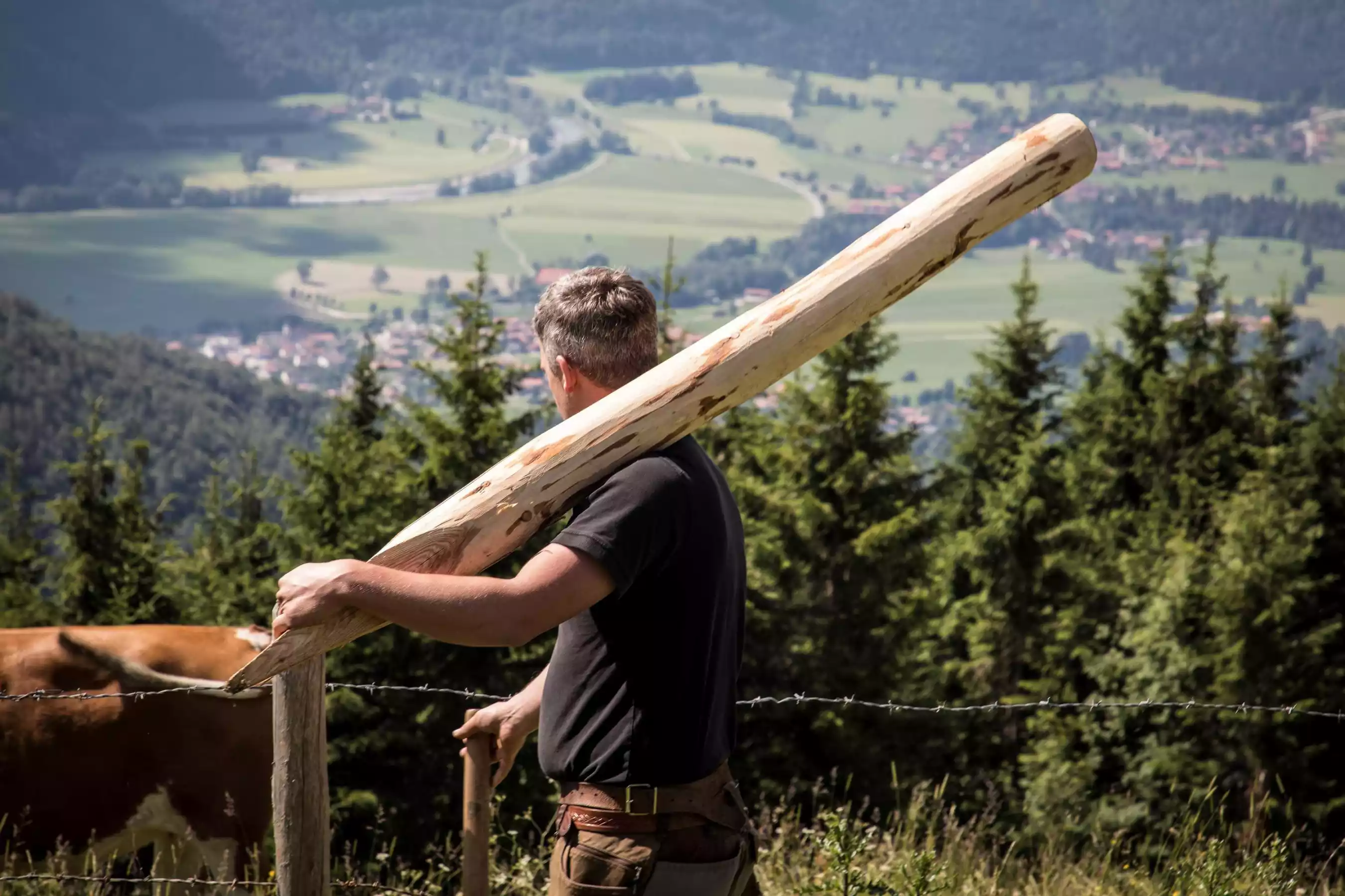 Sennerinnen bewirtschaften Alm Hochplatte Chiemgau